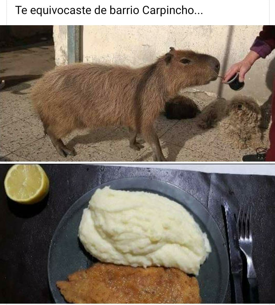 Que ni aparezcan por libertad