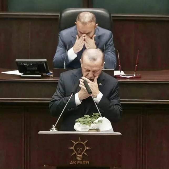 KosarCihan tweet picture