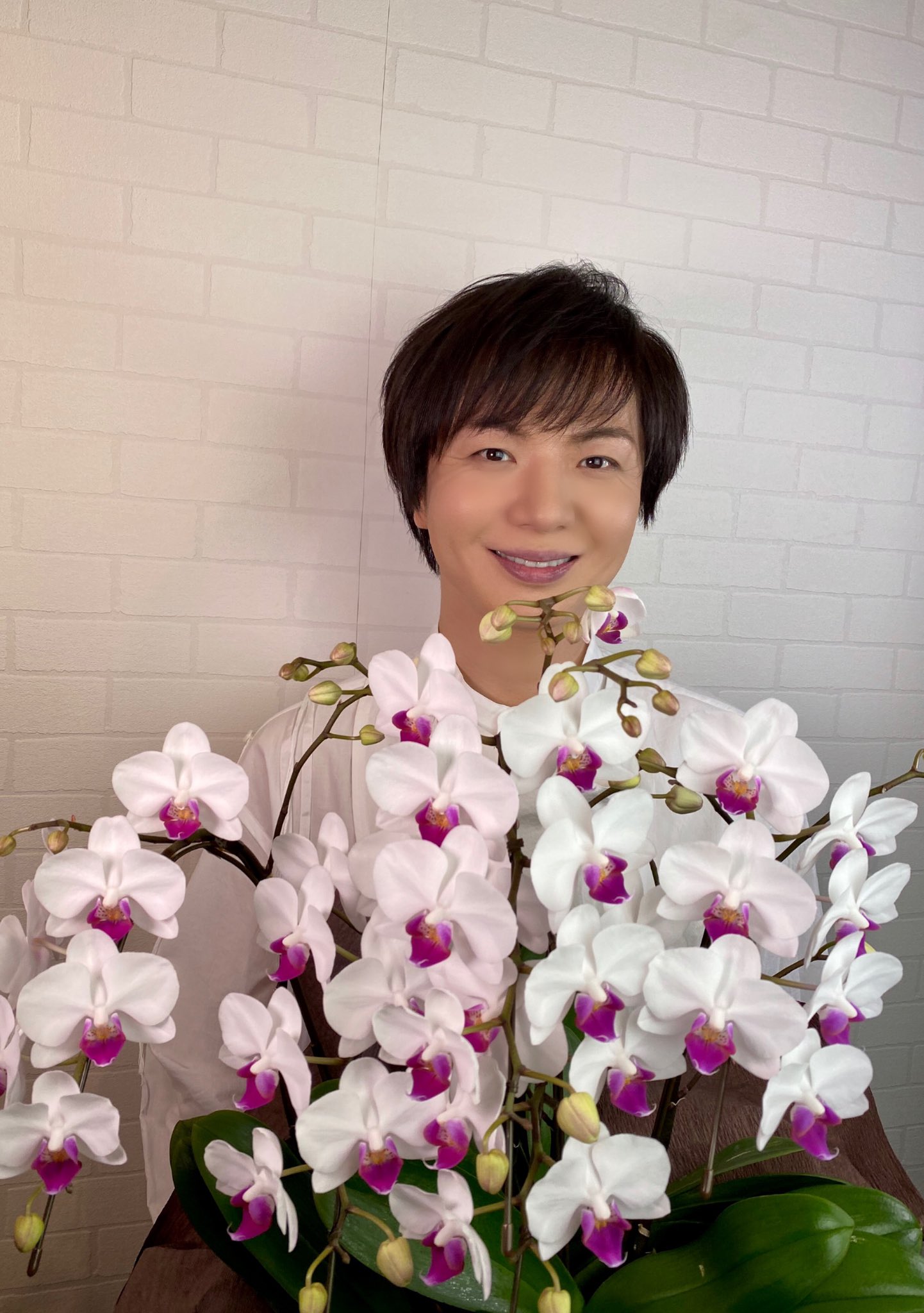 تويتر 竹島宏スタッフ 公式 على تويتر 胡蝶蘭 ダイアンシーナ ユミ 花言葉は 幸福が飛んでくる 明日は新曲 プラハの橋 発売日なので縁起の良い 花言葉で選びました 今日も１日お疲れ様でした ひろネット 花言葉 花便り 花 花を贈ろう 感謝 絆
