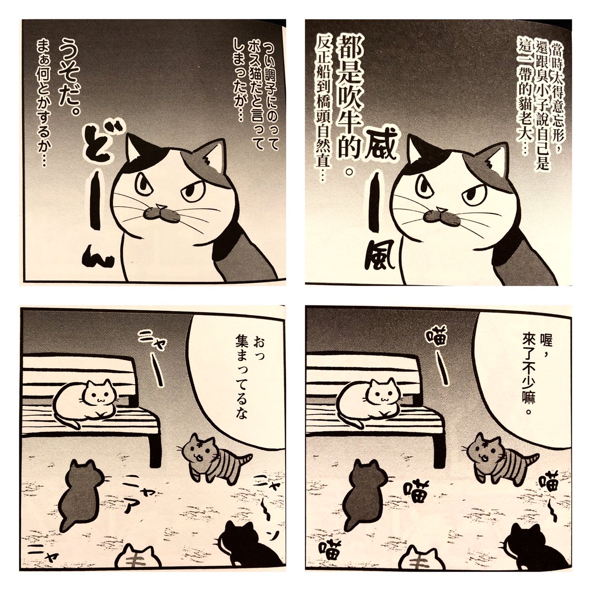 お気に入りポイント
我が家の猫たちが台湾語の名前になってたこと。あと解釈できる効果音
威ー風…(笑) 