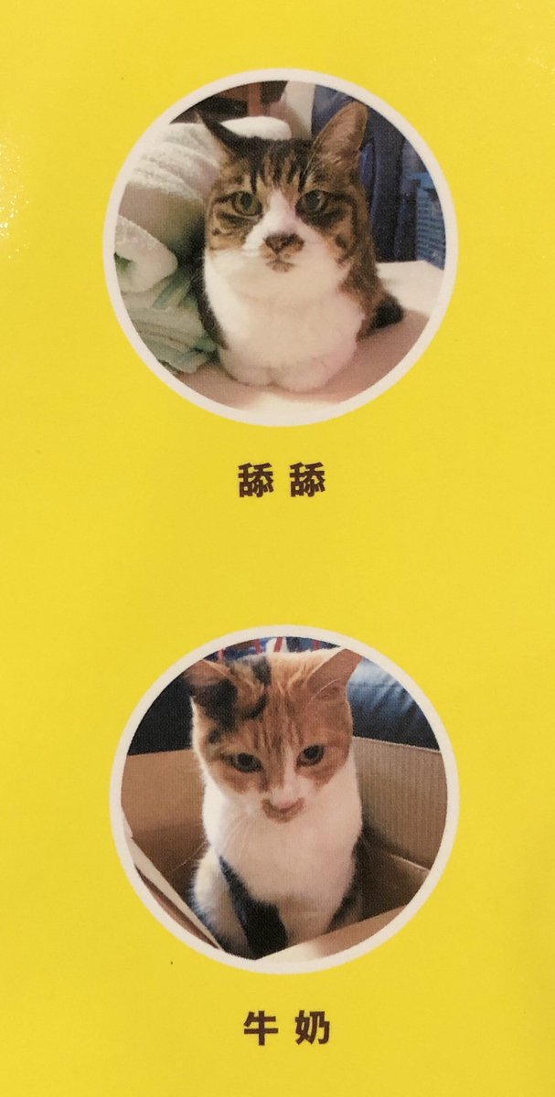 お気に入りポイント
我が家の猫たちが台湾語の名前になってたこと。あと解釈できる効果音
威ー風…(笑) 