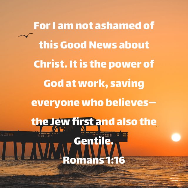 Sandy Thomas tweet media