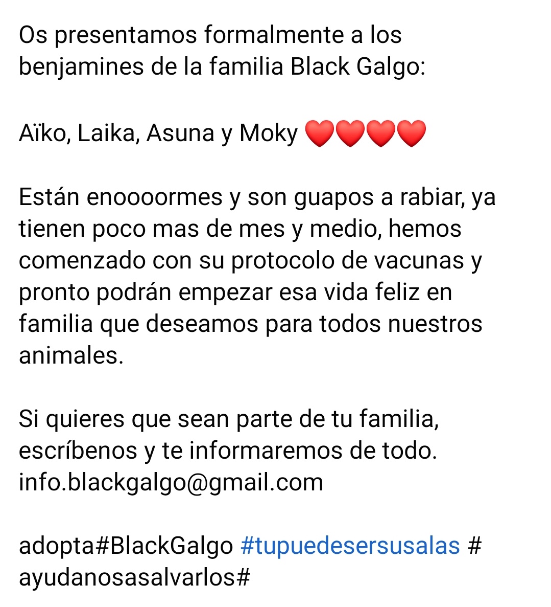 YolandaC4's tweet photo. #Moky https://t.co/zZHCrhe6nS