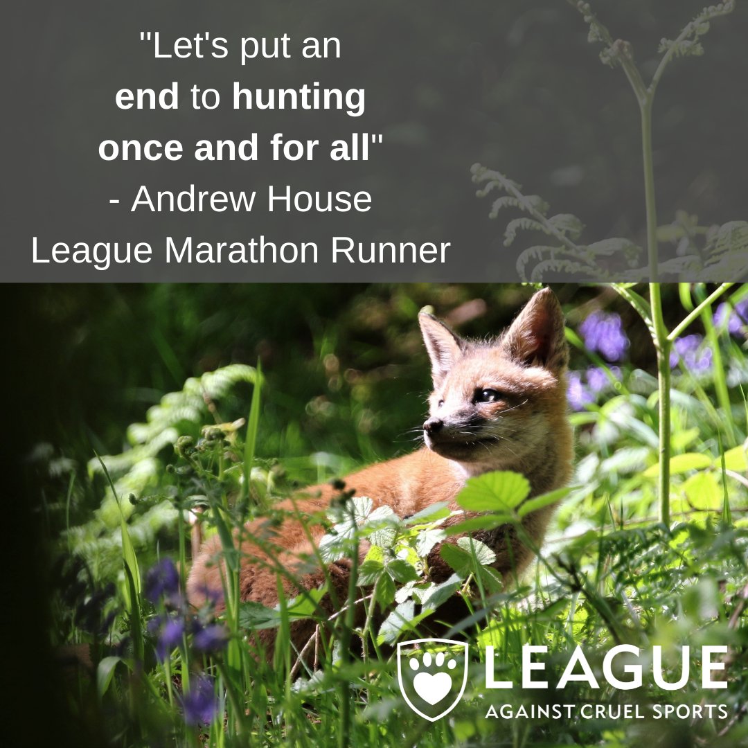 LeagueACS's tweet photo. Tomorrow we are in #Newquay with @ActionAgainstF as we raise awareness of the crucial vote to #EndHunting on @nationaltrust land and the Mini’s Law campaign.
Meet us on 24-28 Bank Street, Outside Poundland, Newquay, TR7 1AY from 11:00am until 2:00pm https://t.co/1xfNfnm6l8