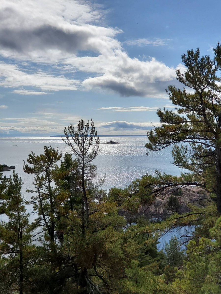 FofKillarneyP's tweet photo. It's trail Tuesday. This is a hike that features gusts 🌬 of wind off the bay.
Where do you plan to hike today?
°
#hike #killarneyprovincialpark #trailtuesday #SomewhereinKillarneyPark #wind #water #friendsofkillarneypark https://t.co/pYe6l94hnB