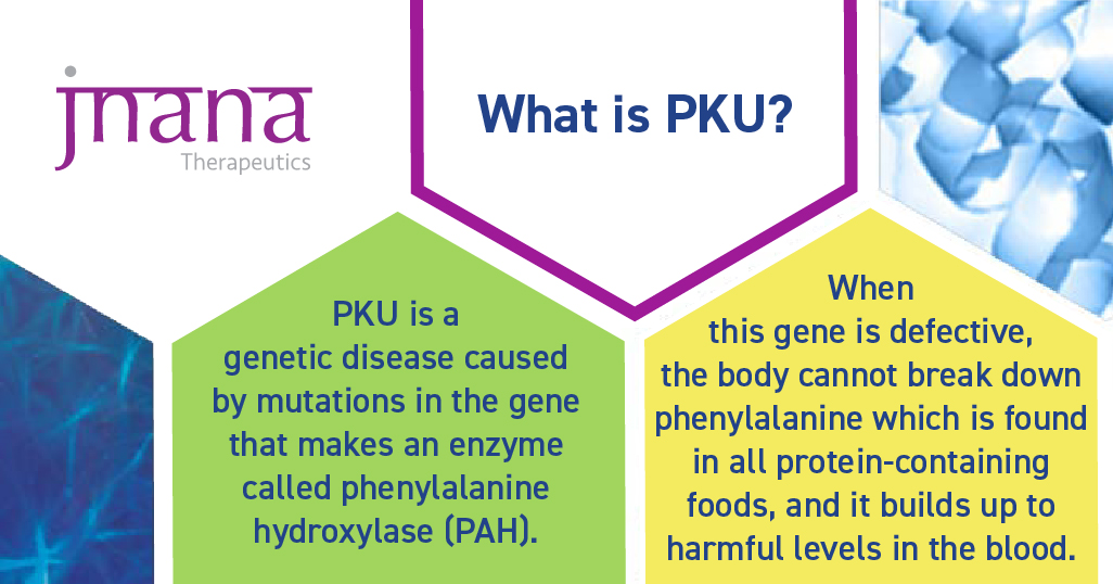 Jnana Therapeutics tweet media