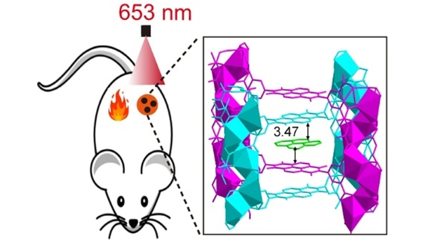 #Metalorganicframework stabilized organic cocrystals to enhance the supramolecular charge transfer between electron donor and acceptor in water towards novel photothermal therapy (Han) <a href="/GangHan_UMMS/">Gang Han</a>  #Phototherapy onlinelibrary.wiley.com/doi/10.1002/an…
