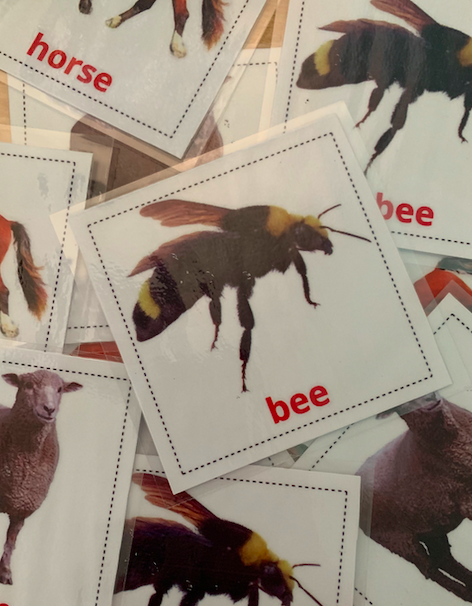 learnwithhart's tweet photo. It is great to be back in the classroom! Going into the 'activities that never get old' box is creating lab groups using animal cards. What is the catch? Learners receive a card and have to find their group members by using the sound the animal makes. #iteachphysics #IBPhysics https://t.co/uSZdl9syPh