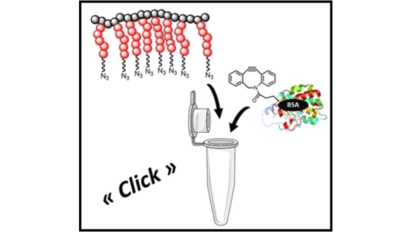 EurJOC (@eurjoc) on Twitter photo Protein-Polymer Bioconjugates Prepared by Post-Polymerization Modification of Alternating Copolymers by Vincent Darcos and co-workers (<a href="/BiopolymerTeam/">IBMM - Polymers for Health and Biomaterials</a>, <a href="/umontpellier/">Université de Montpellier</a>, <a href="/CNRS/">CNRS 🌍</a>) onlinelibrary.wiley.com/doi/10.1002/ej… Protein-Polymer Bioconjugates Prepared by Post-Polymerization Modification of Alternating Copolymers by Vincent Darcos and co-workers (<a href="/BiopolymerTeam/">IBMM - Polymers for Health and Biomaterials</a>, <a href="/umontpellier/">Université de Montpellier</a>, <a href="/CNRS/">CNRS 🌍</a>) onlinelibrary.wiley.com/doi/10.1002/ej…