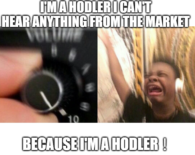 I'm a HODLer！！！！