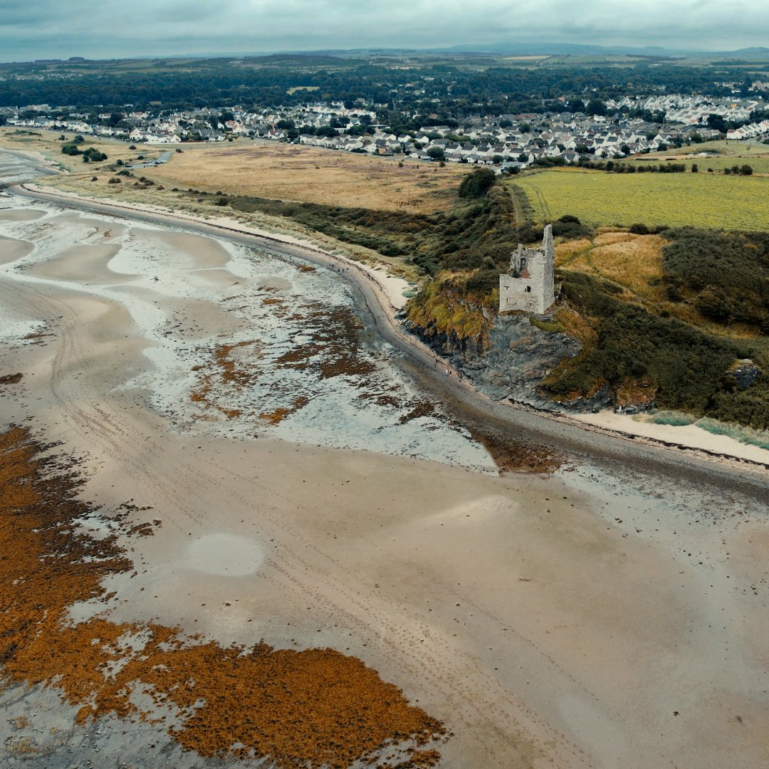 Chris Bain tweet media