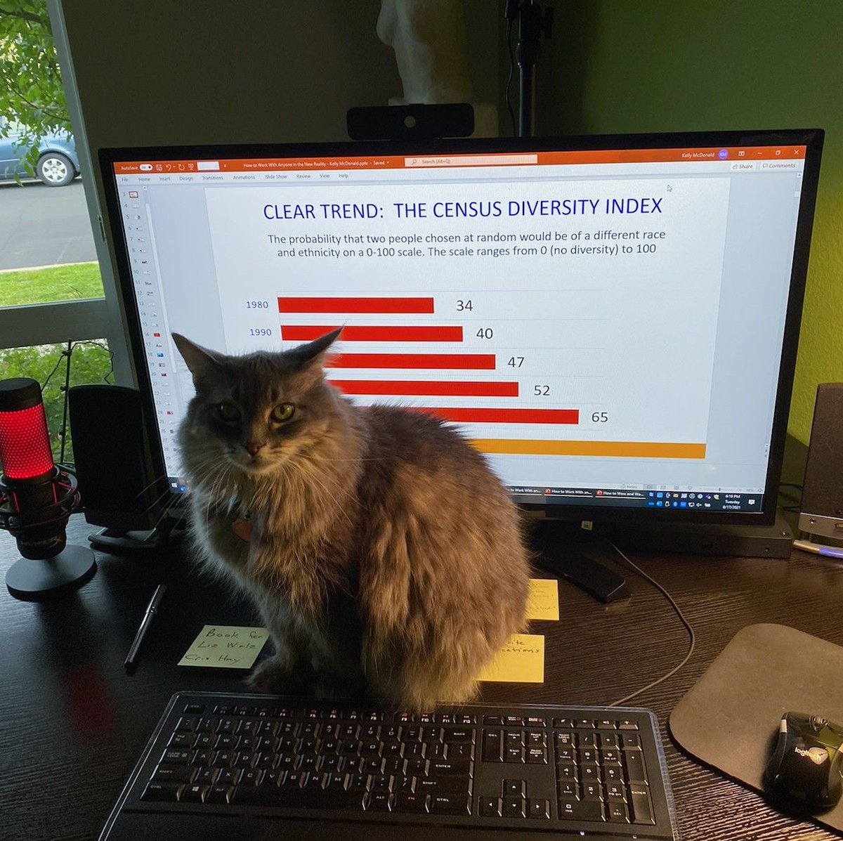 kellycmcdonald's tweet image. Rescue cat Kiki knows that diversity matters. What state do you think has the highest diversity index?  Answer in tomorrow&apos;s post. 
#DivrsityAndInclusion #DiversityIndex  #ItsTime