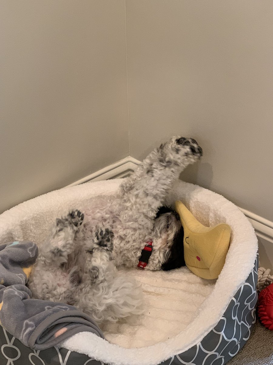 Tapaswee Chandele tweet media