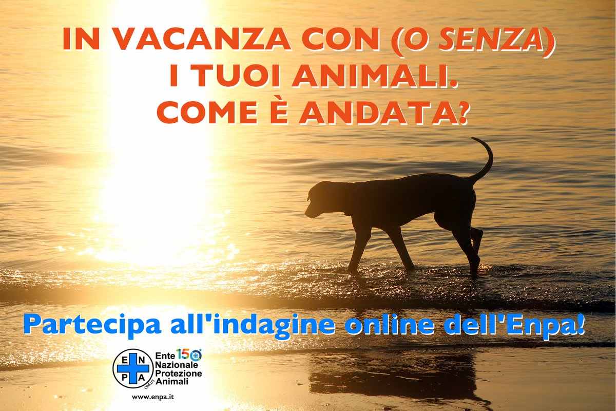 In vacanza con (o senza) i tuoi animali. Come è andata? Partecipa all’indagine online dell’Enpa. Qui: bit.ly/3kBapSj