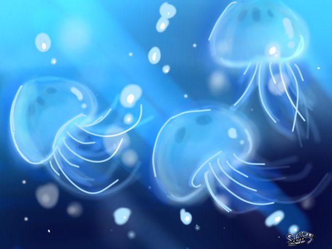 クラゲ 高画質 のtwitterイラスト検索結果 クラゲ 高画質 のtwitterイラスト検索結果