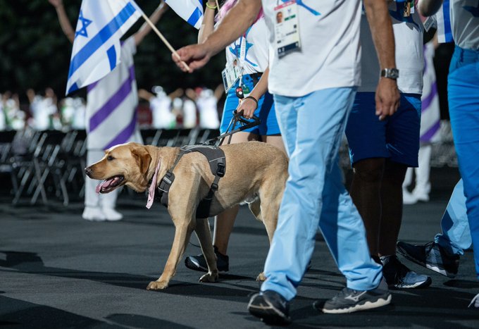 Зображення