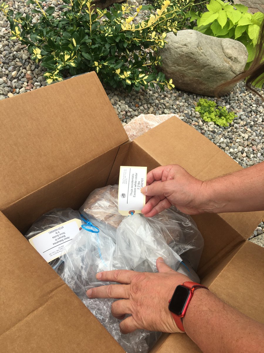 John Criswick tweet media