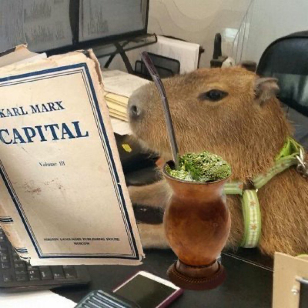 Duroyan Fertl on X: Capybaras in #Argentina rebel against the