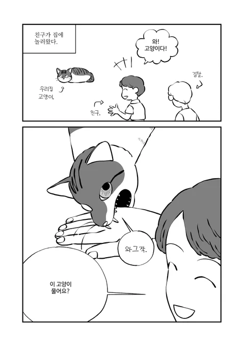 우리집 고양이. 고양이 물어요. 
