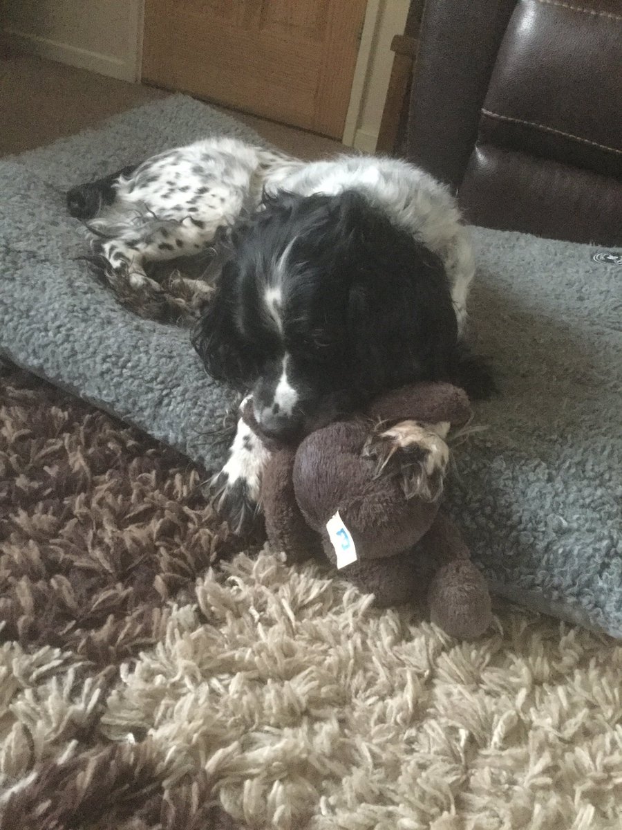 Add picture this time