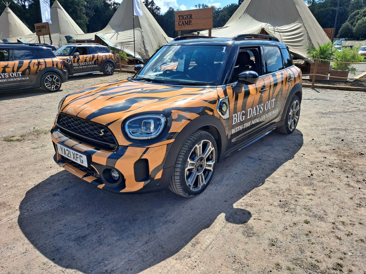 NineLivesMsport's tweet photo. Dear @MINIUK 
We appreciate your homage to our colour scheme!
We've been having #BigDaysOut for years.
Lots of love...

#RallyCar #NotAMini #SorryNotSorry #Tiger #Longleat https://t.co/IbHHQ5uJz6