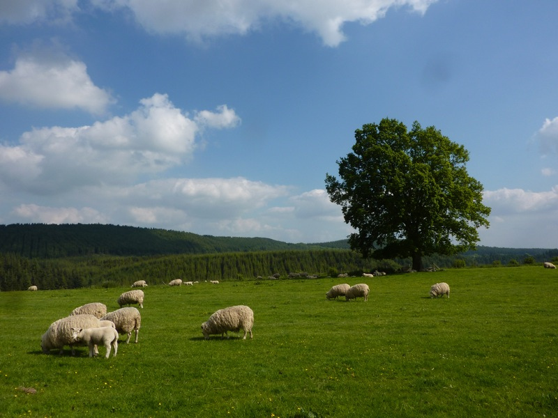 RogerParry&Partners tweet media