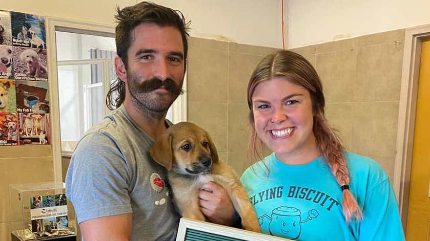 ‘Magnolia’ got adopted 🎉🎉🎉
#puppy #animalrescue #dogsoftwitter