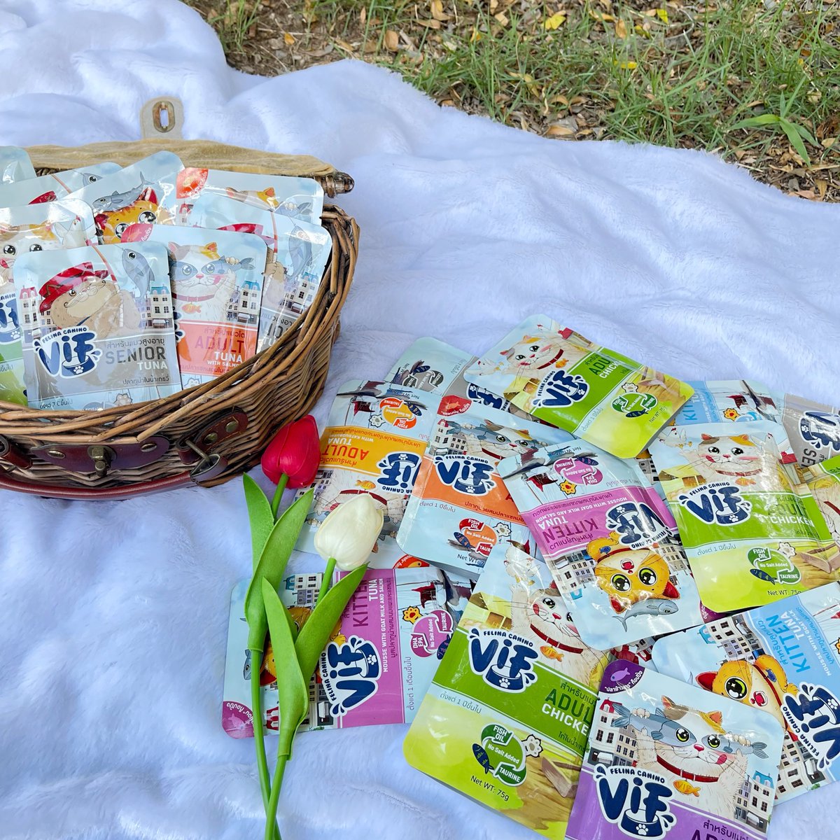 mgine_'s tweet image. ถึงเราจะไม่มีแมวแต่เราสามารถซื้อvifไปป้ายยาแมวเพื่อนได้ค่ะ5555555 รอก่อนนะต้าวชูครีมเดี๋ยวจะรีบส่งไปให้นะรับรองว่าถ้าชูครีมได้กินต้องติดใจแน่นอนคั้บ🤍🤏🏻
#VIFEveryDayaGoodDay @VIF_FC 
#วิฟให้ทุกวันเป็นวันที่ดี @FelinaCaninoTH