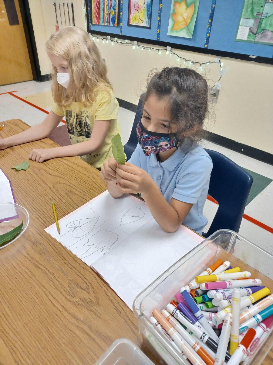 dses_art's tweet photo. 2nd graders @DunwoodySprings practicing their observation skills. It's such a joy watching them learn to "see" like an artists! https://t.co/qTDutNU4A9