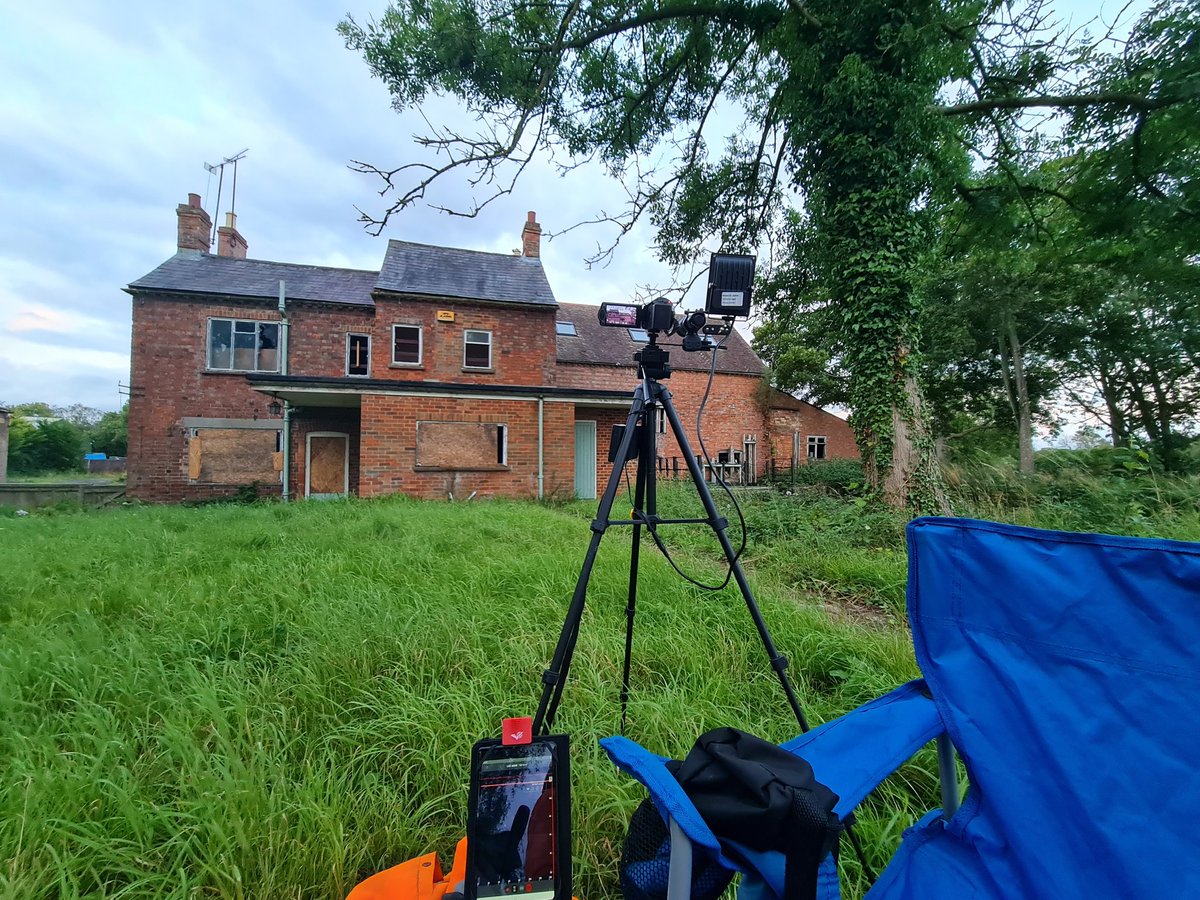 BorealTrees tweet media