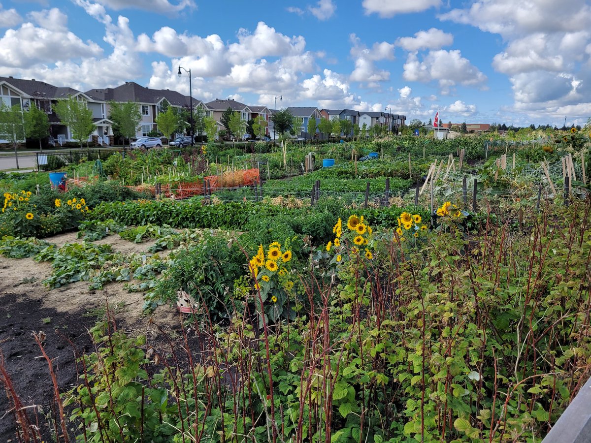digsafeyeg's tweet photo. Getting a #locate keeps your #community and you #safe when Digging , always #clickbeforeyoudig and #looklocateandlive.
#digsafeyeg #AlbertaOnecall #knowwhatsbelow #whereistheline https://t.co/V1CNRWsj3g