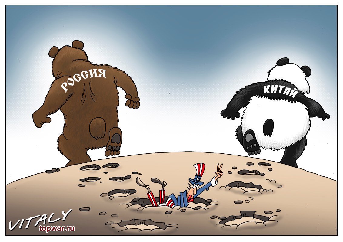 Мишка против. Медведь гризли против льва. Медведь в америке и в россии. Русский медведь против американского орла. Медведь гризли против тигра.