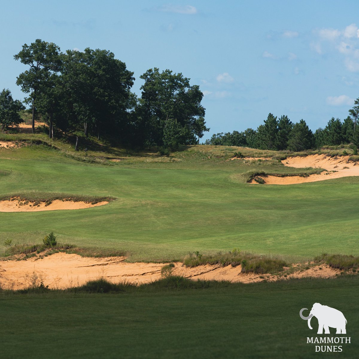 Sand_Valley's tweet photo. There may be plenty of width, but it’s all about angle. What’s your approach to playing this visually stunning par 4??
.
#MammothDunes #widthandangles #shortpar4 #davidmclaykidd #dreamgolf https://t.co/9K8c0LlSA3