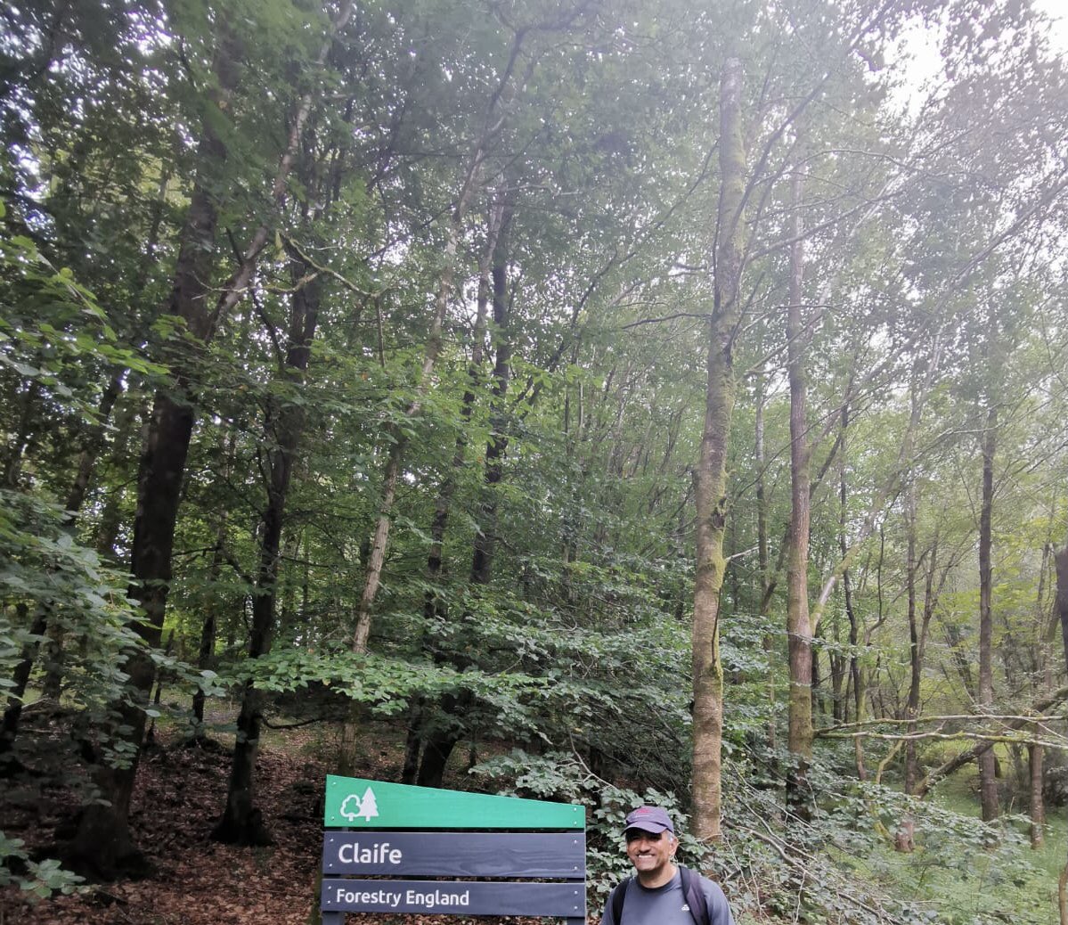 gurchrandhawa's tweet photo. Great walk #claife #forest #wraycastle #trees #forestry @ForestryEngland @nationaltrust @LakeDistrictPR https://t.co/bMHPdZs437