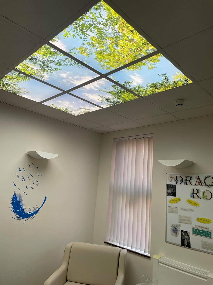 ward9jcuh's tweet image. A fantastic addition to our dragonfly room, a calming place for relatives to rest @TracyWi87155001 @Nicmetcalfe @BethSwanson6