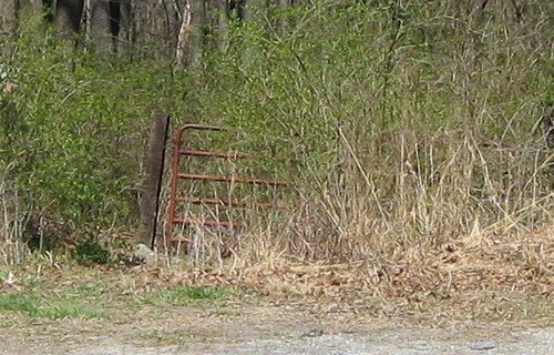 It's #TeaserTuesday - can you guess what we'll be covering this week? Here's a clue: it's a paranormal story. Can't wait to listen? Join our Patreon for as low as $1/mo and hear it now at patreon.com/yeoldecrimepod…