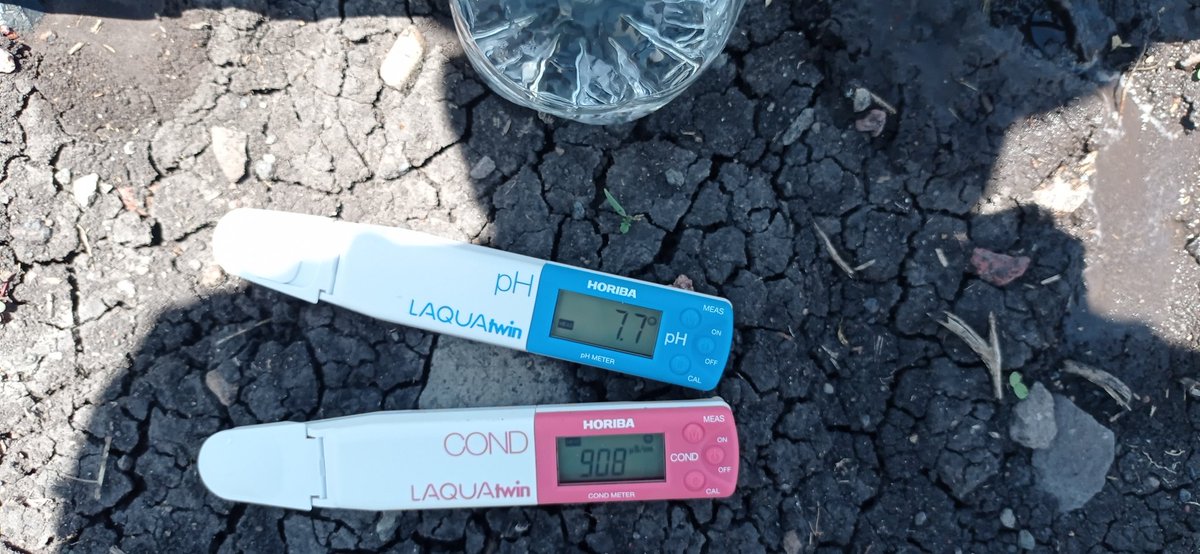 Sandoval9Daniel's tweet photo. El medir nos ayuda a tener control en nuestras aplicaciones de fertilizante a las parcelas para lograr incrementar los rendimientos.

Acciones @MUAC_GTO @SDAyR_GTO https://t.co/8ntj9ji4mC