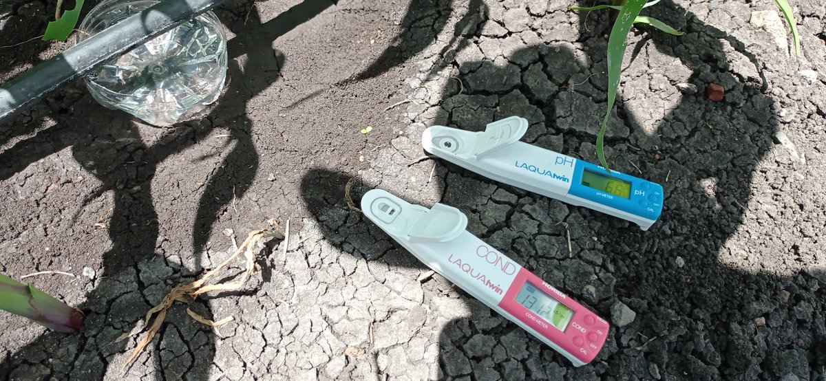 El medir nos ayuda a tener control en nuestras aplicaciones de fertilizante a las parcelas para lograr incrementar los rendimientos.

Acciones <a href="/MUAC_GTO/">Mejores Usos del Agua en el Campo</a> @SDAyR_GTO