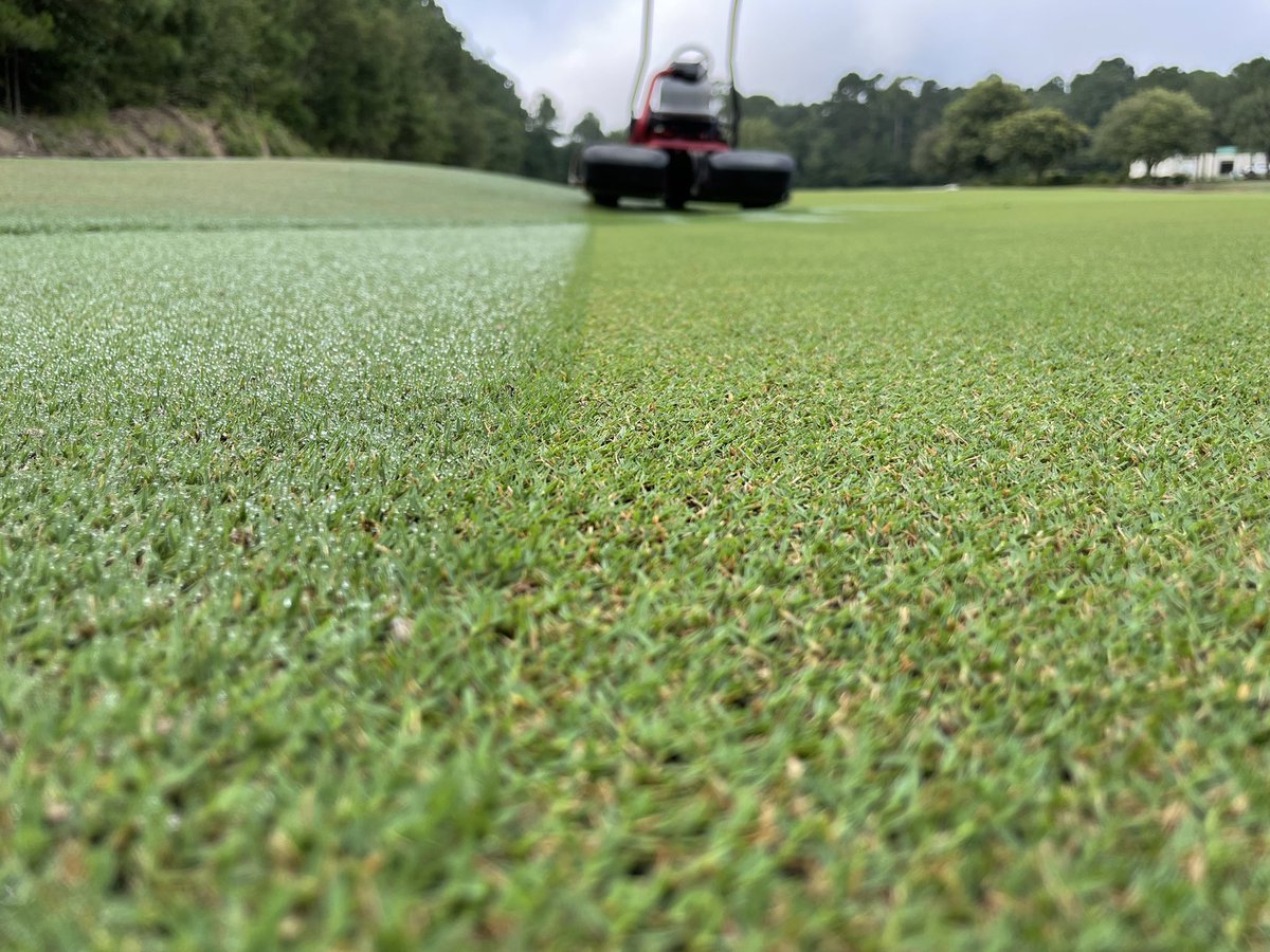 The Loop tweet media