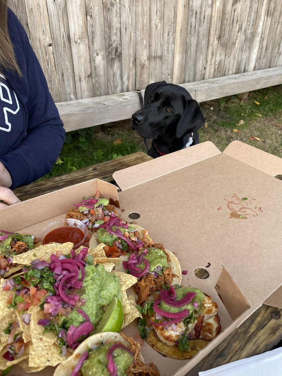 Will Critchlow tweet media