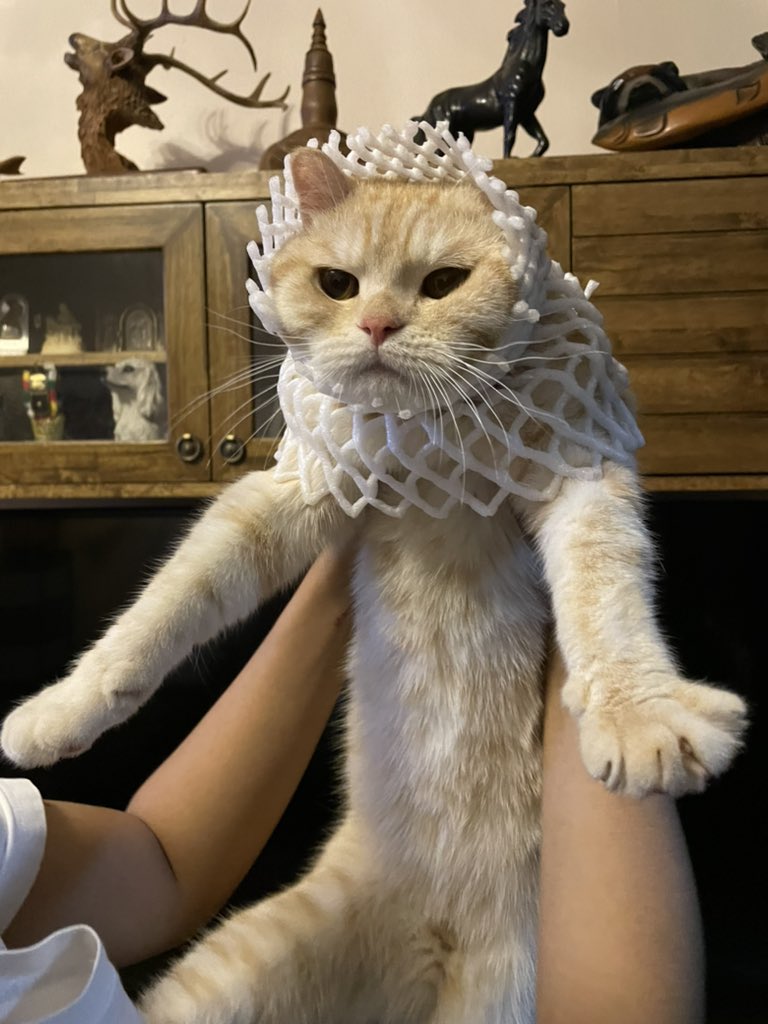 ใครเอนจอยด้วยฟะ