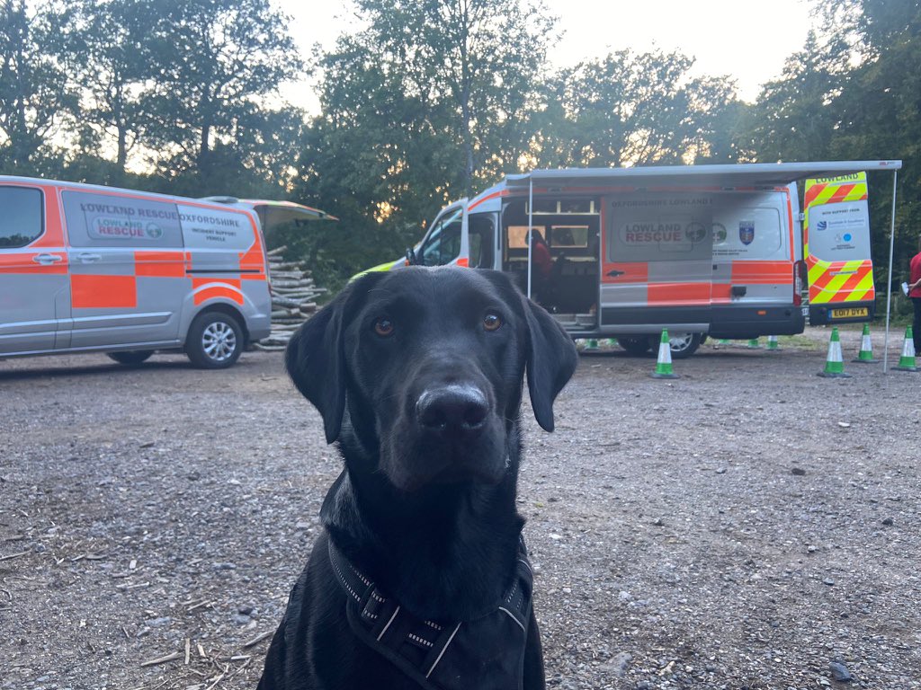 matthewbarberUK's tweet photo. The skill and training of everyone involved - human and canine - is truly impressive. I’m pleased to continue supporting the work of search and rescue teams across Thames Valley in their work to keep people safe. https://t.co/65ag6izOyR