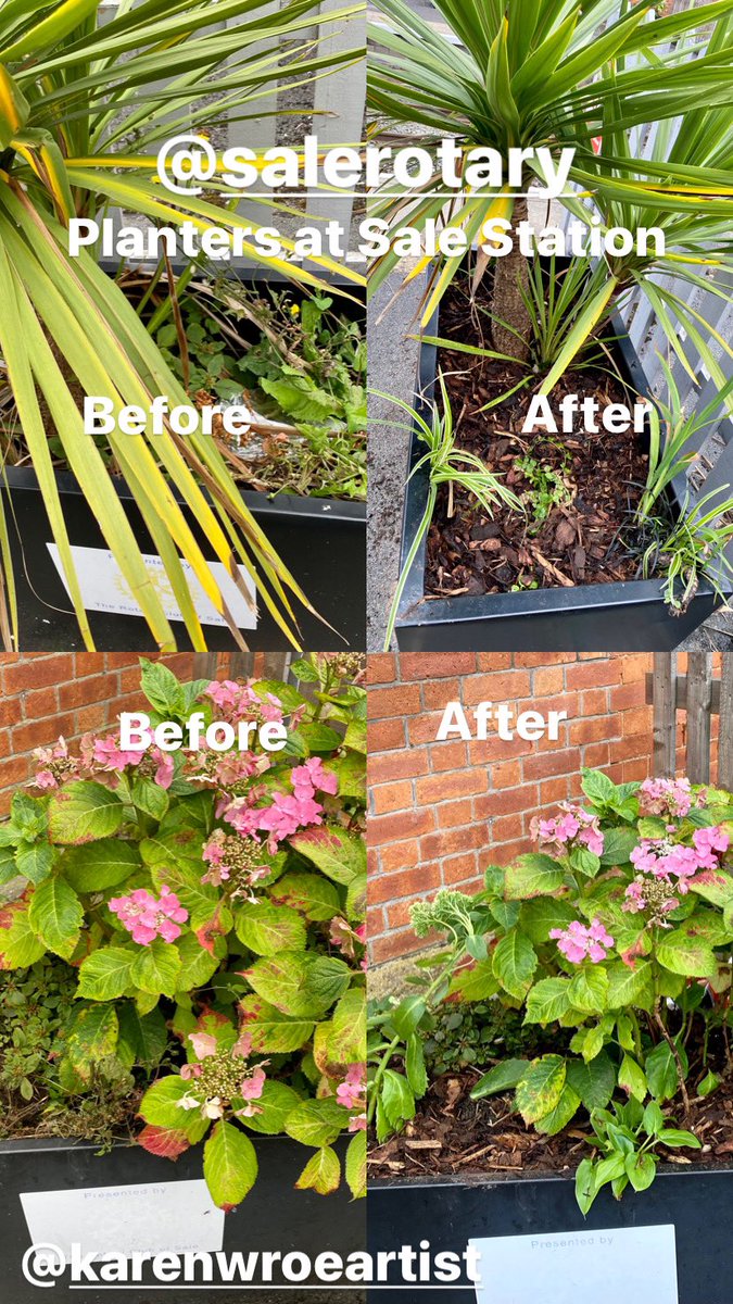 Karen Wroe tweet media