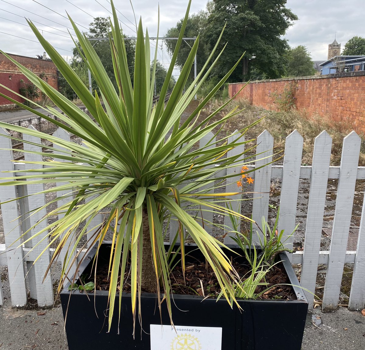 Karen Wroe tweet media