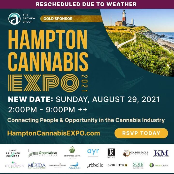 THE MAZE: VIRTUAL MEETINGS + EVENTS - mailchi.mp/ef68e1badd9e/t…