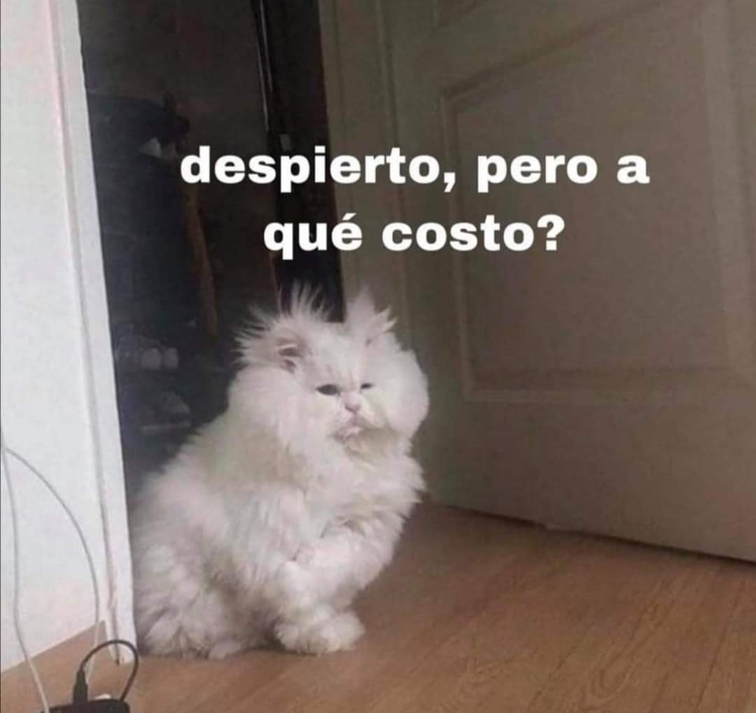 Todas las mañanas