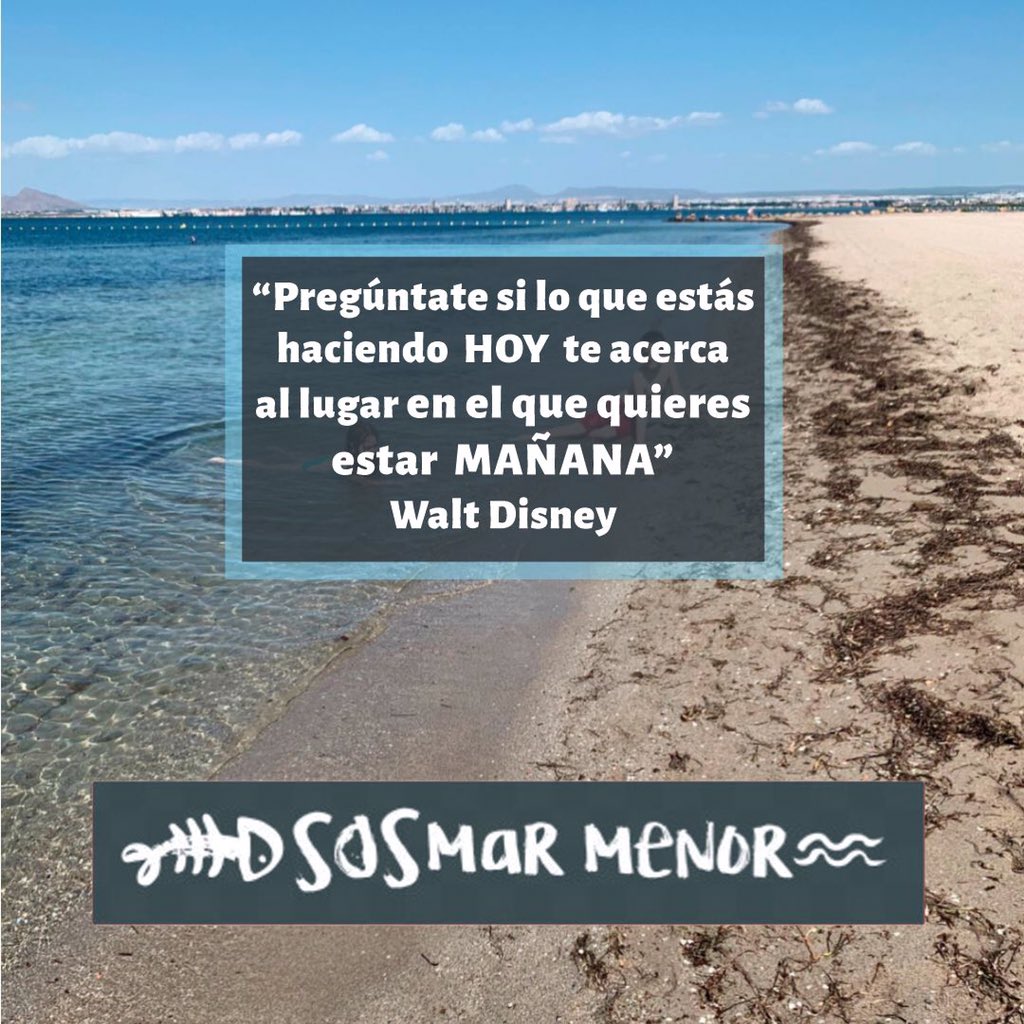 encommunicacion's tweet photo. Aún es tiempo de actuar 💙

#sosmarmenor #marmenor #marmenorvivo 
#tiempodeactuar #lamanga #lamangadelmarmenor 
#waltdisney https://t.co/7Loq6pIcFU