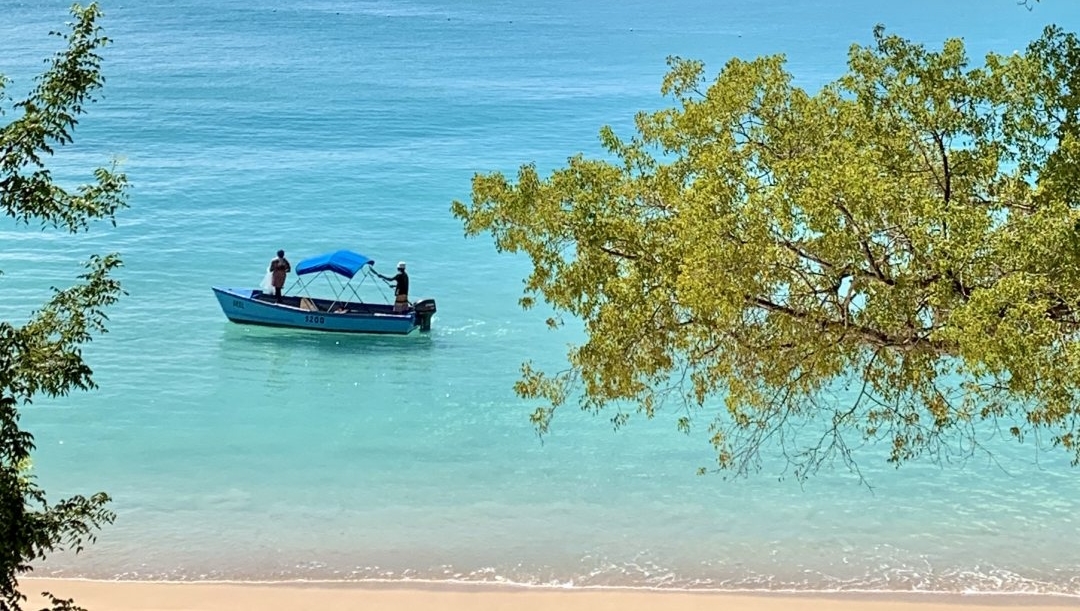 SandyLaneHotel's tweet photo. Fresh catch of the day anyone? 🐟

#SandyLane #Barbados https://t.co/UCJEhCFp1u