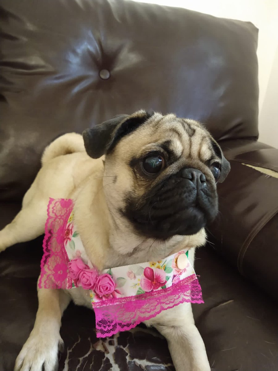 Tania Rossi tweet media