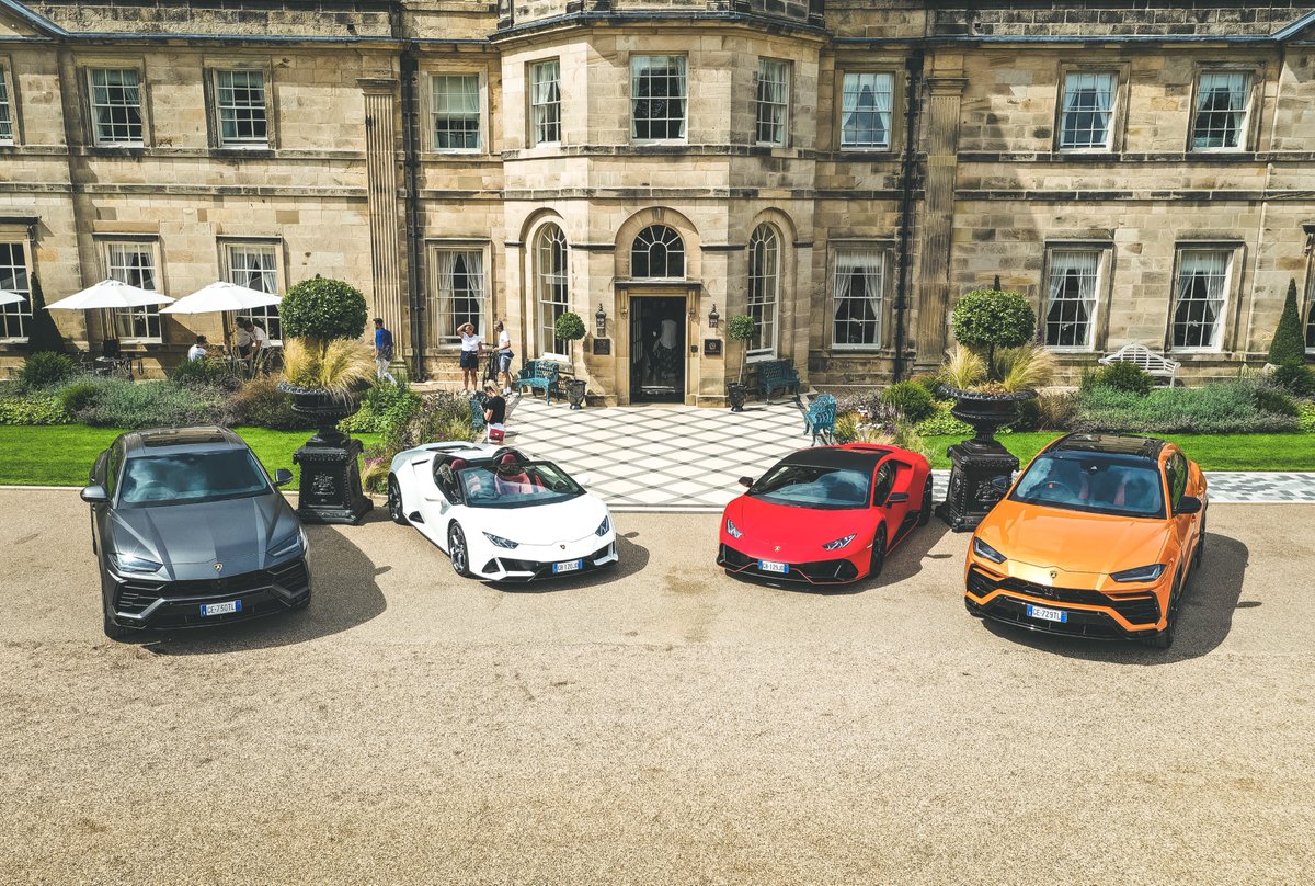 Deeper Blue tweet media